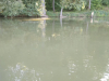 IMG-20230905-WA0010