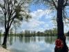 IMG-20260416-WA0080