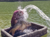 41c1f865-34c3-439f-9728-0d8a30fbaf0e