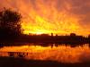 IMG-20241020-WA0021