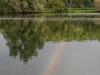 IMG-20241016-WA0005