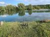IMG-20241016-WA0007