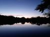 IMG-20241016-WA0012